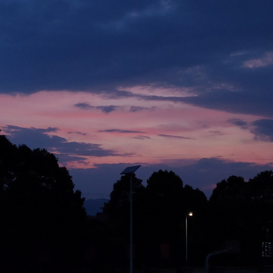 淡蓝的背绿壹角