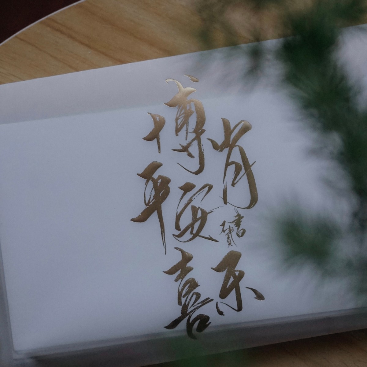 爱兔叽的小狮叽