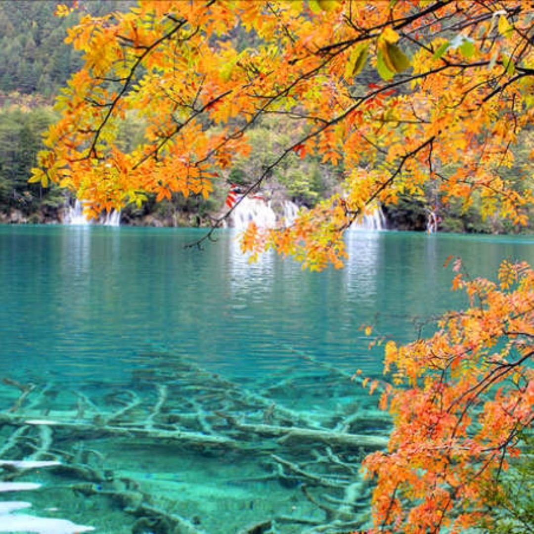 幸运星168有爱心