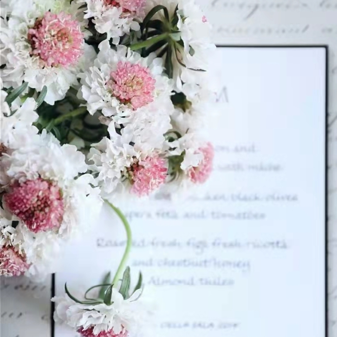 爱吃三丝鱼翅的使者