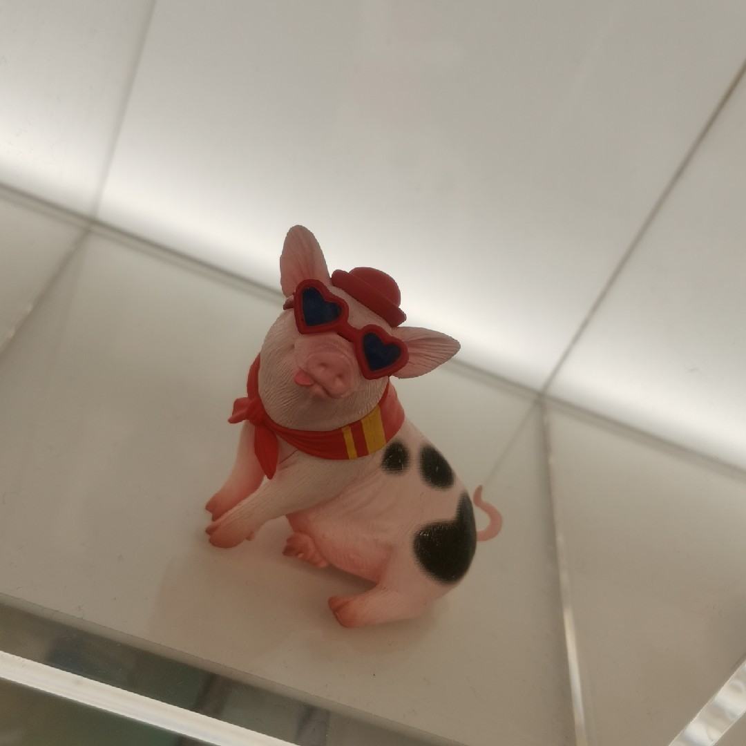 爱吃啤酒烧肉的白鸽