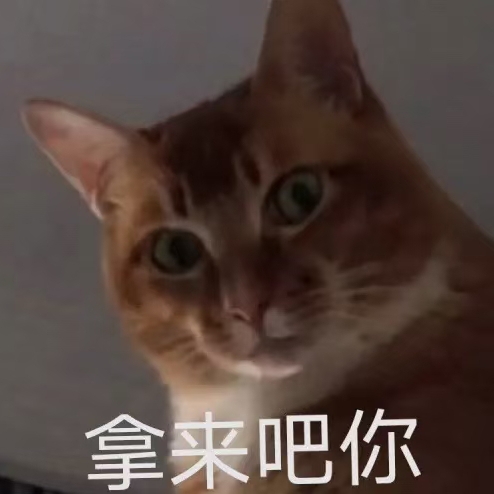 爱吃猪的脑斧210508