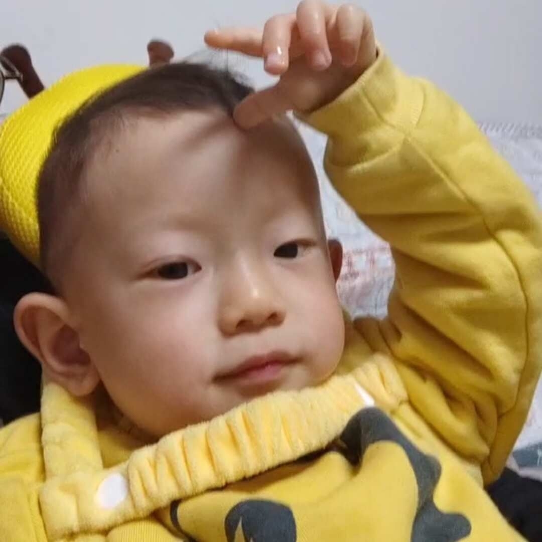 猪儿乖乖我的yy