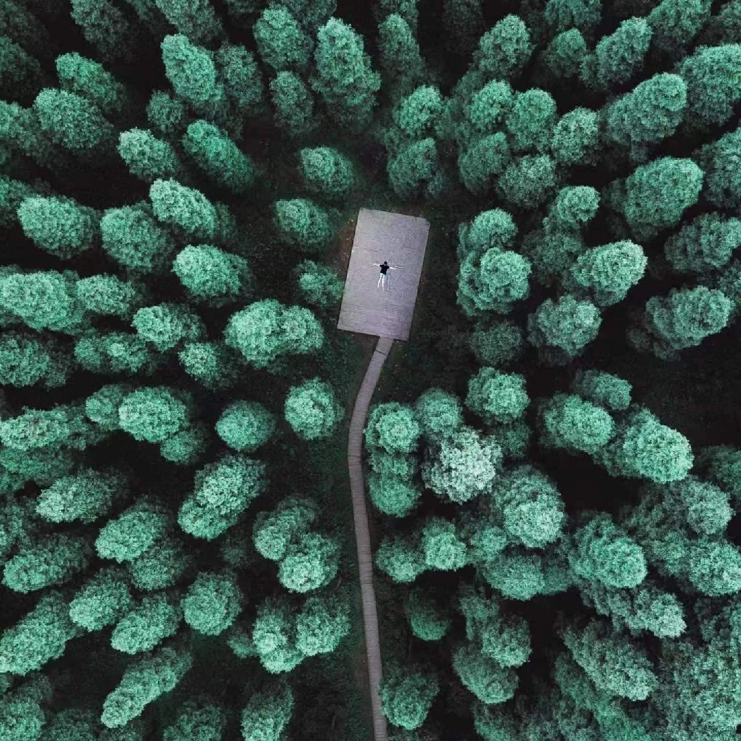 人间正道是沧桑