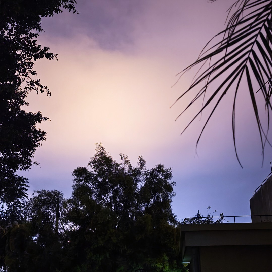 美丽可爱且迷人