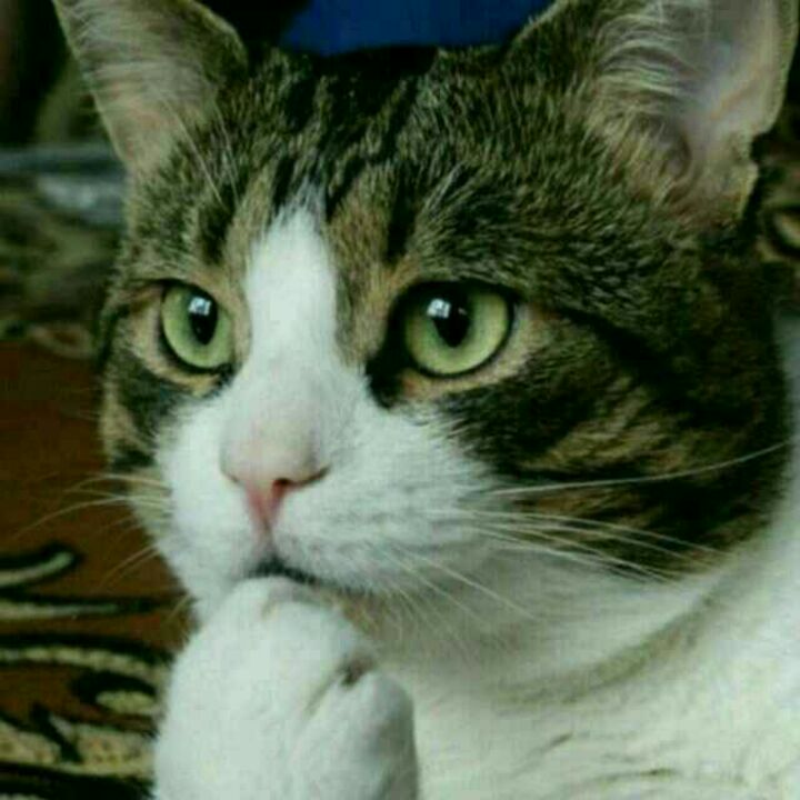 转眼就是一生。