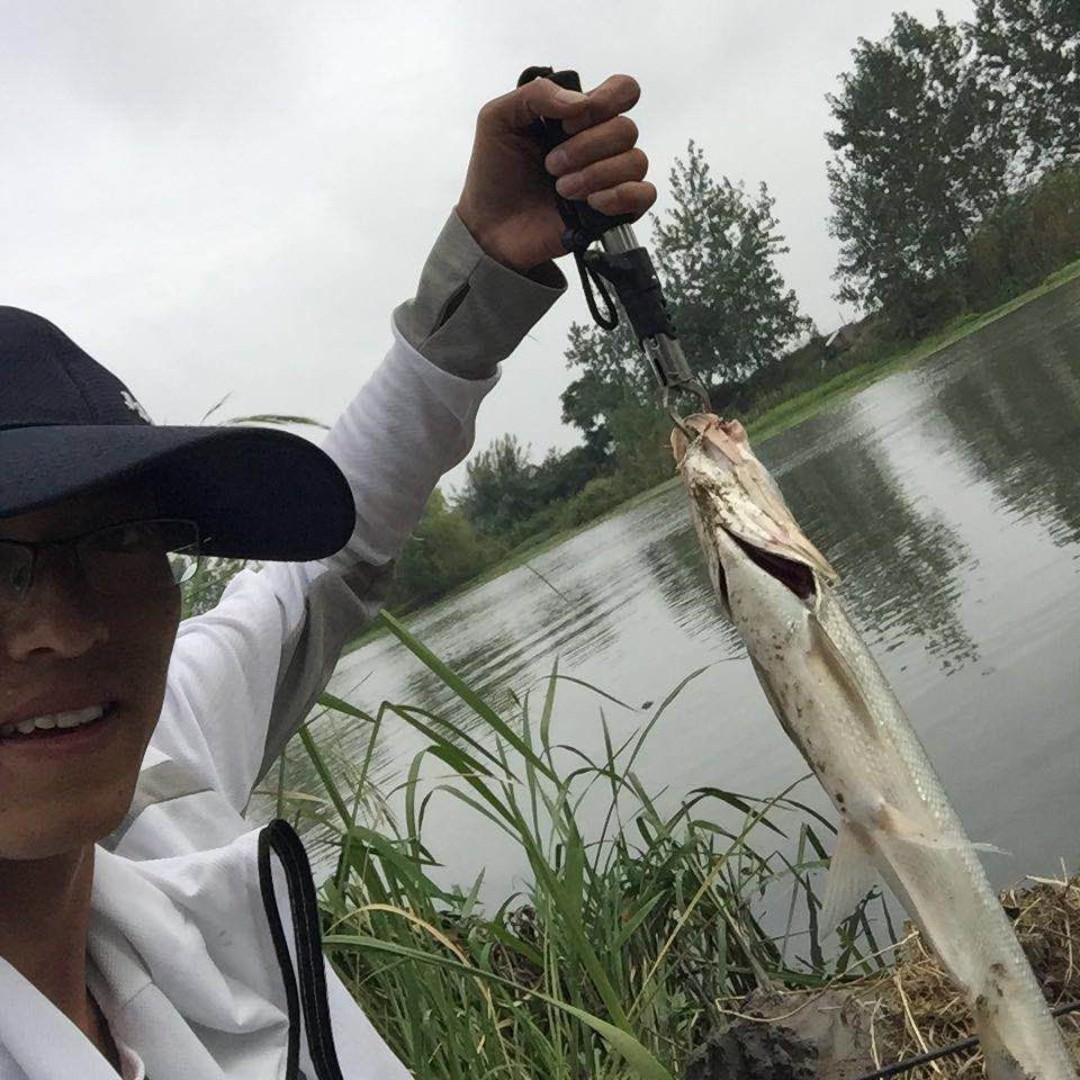 爱吃剁椒很安静