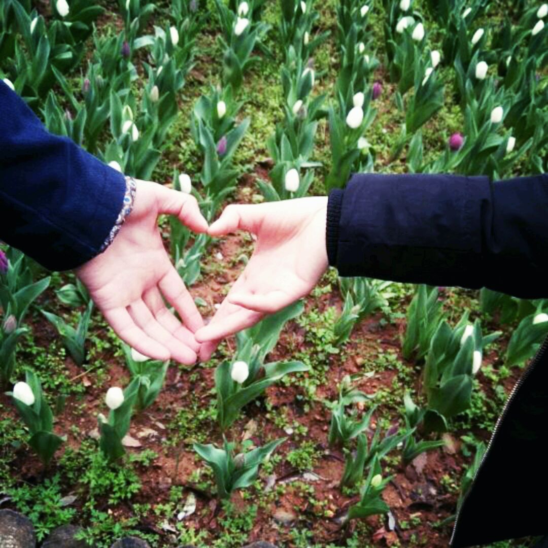 你是我的［朝阳]