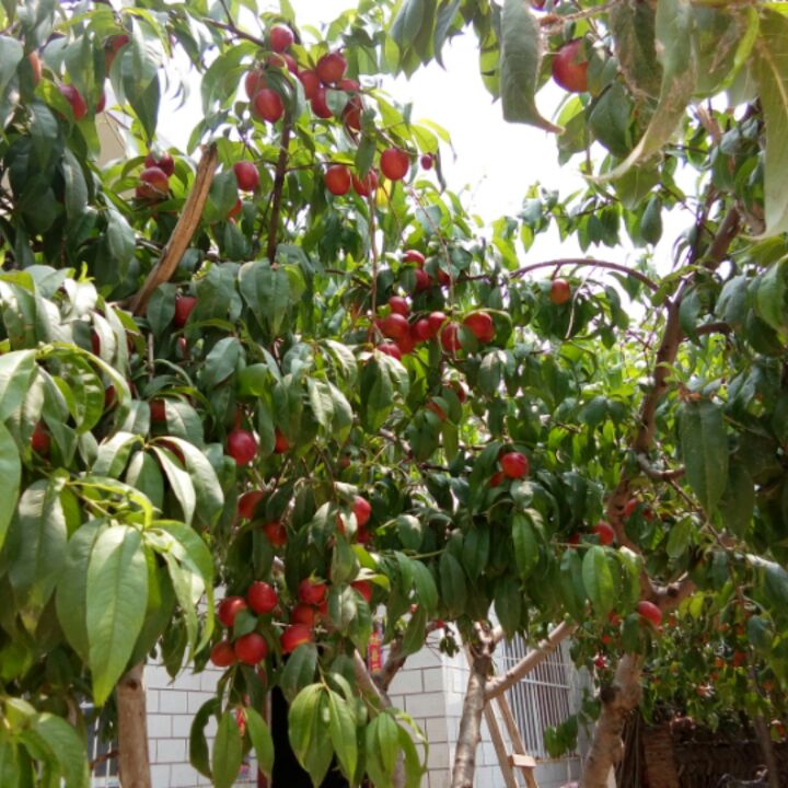 一生只要你的陪伴