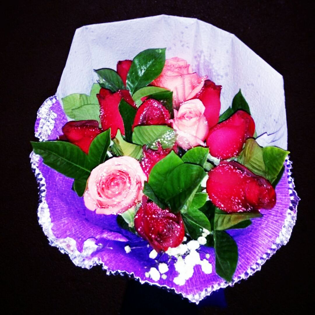 粉白的代代前缘