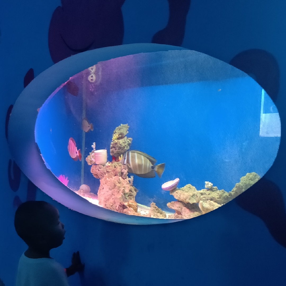 广告好快快快m(__)m