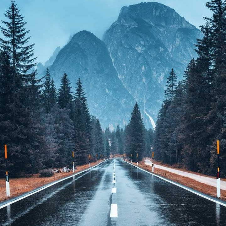 爱吃清炒冬笋的特工