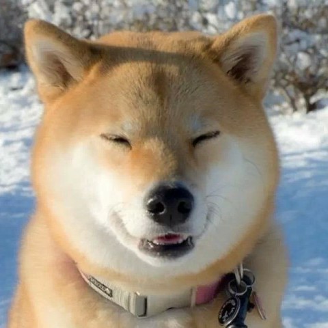 爱吃天鹅的癞疙宝:-)