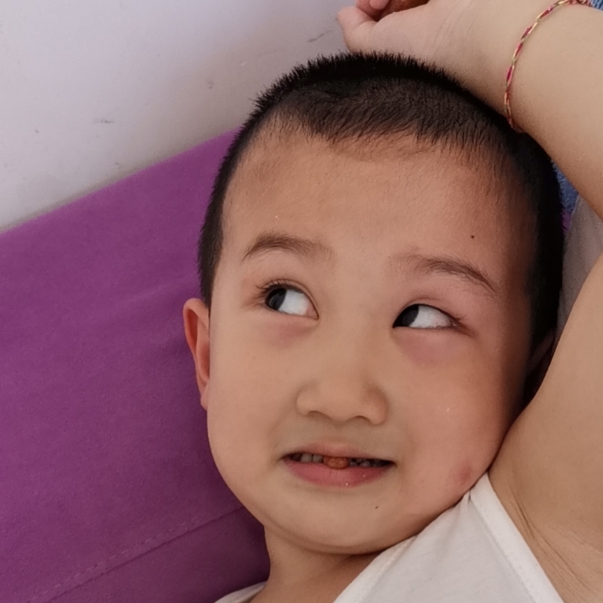 奶油色的三仙矛草