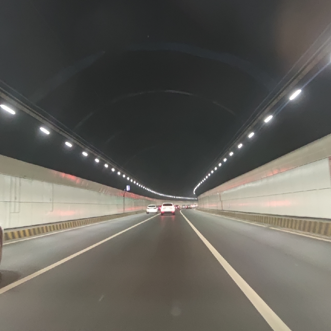 此情可待成追妮