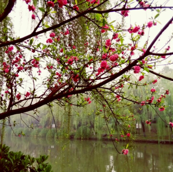 新的一天开始了！