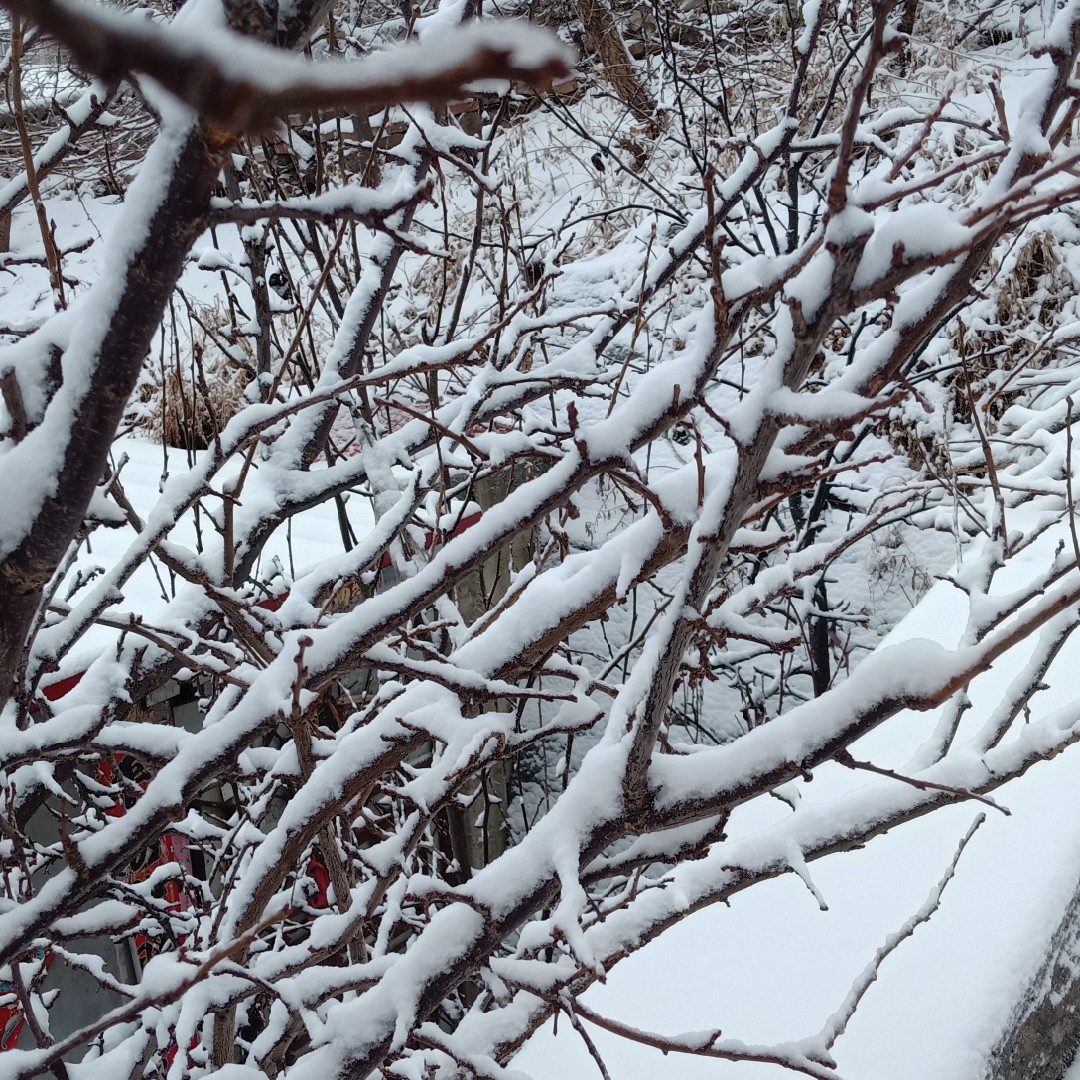 2014以前的日子怀念