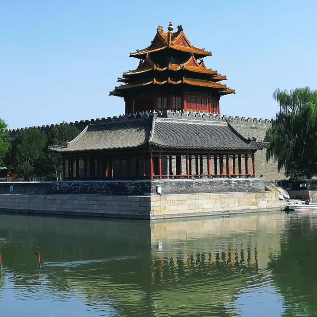 知多菲煜之逢媛勿扰