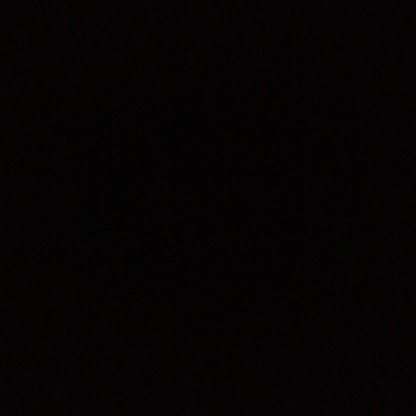 爱吃雪梨泥的手风琴