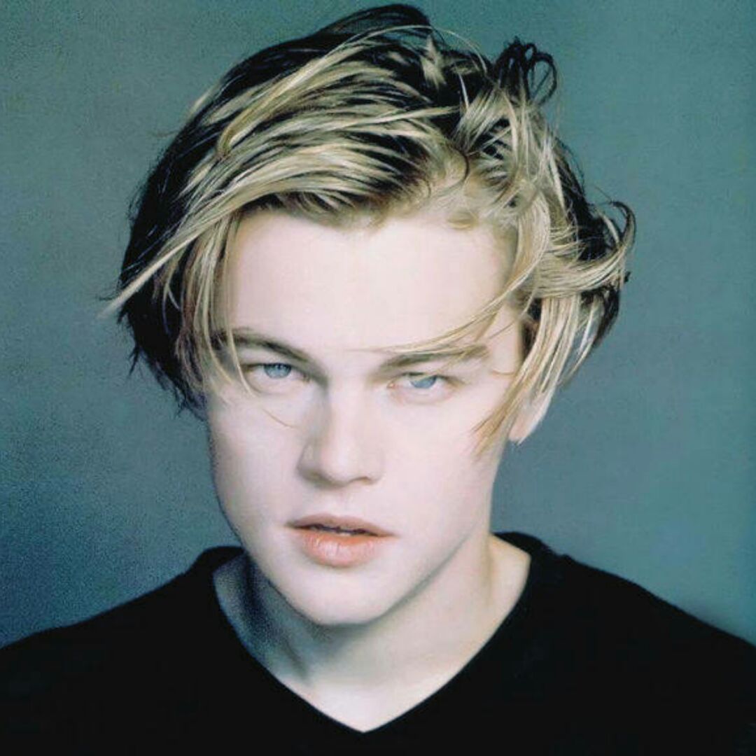 柯基爱吃草莓味芝士