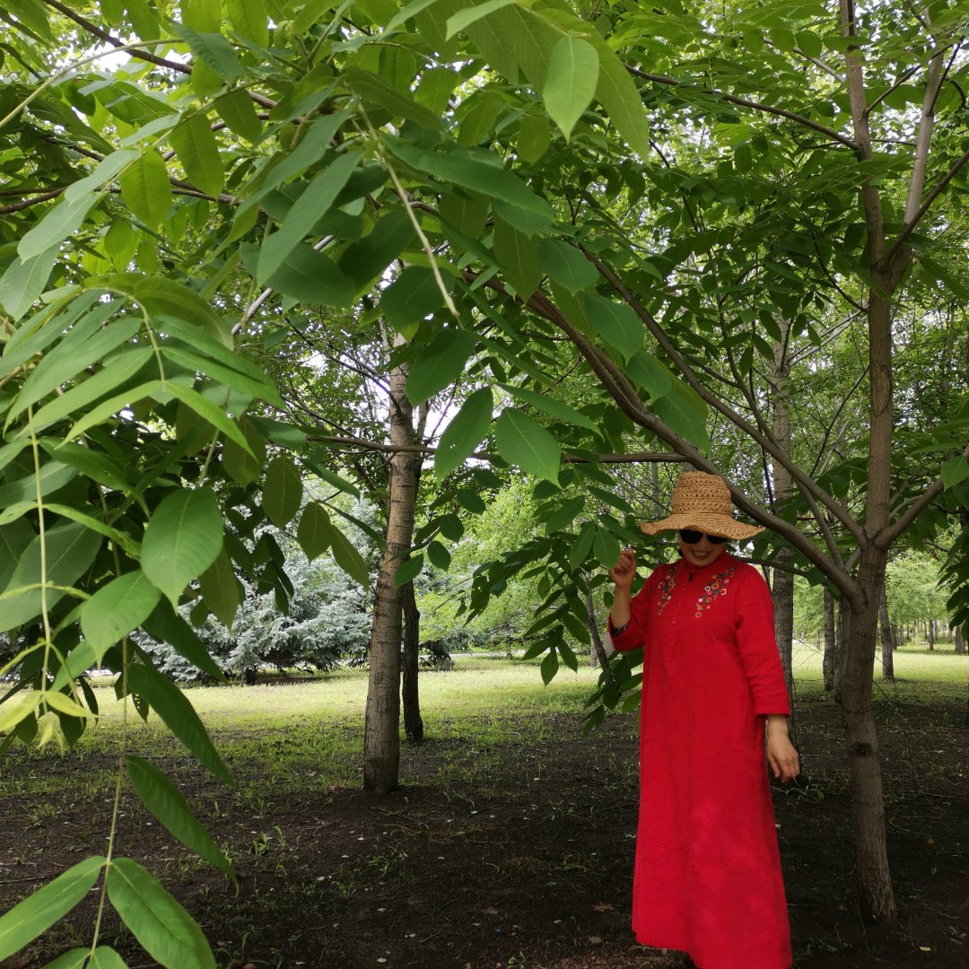 用户_淡淡的清香