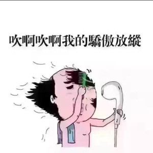 爱吃糯米寿司的薄荷