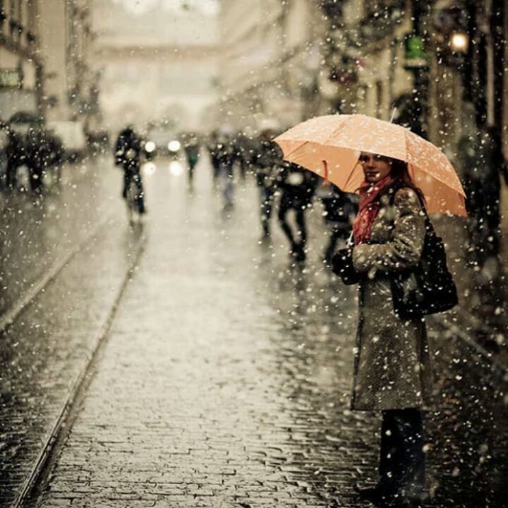 爱吃拼盘宫灯的天王13