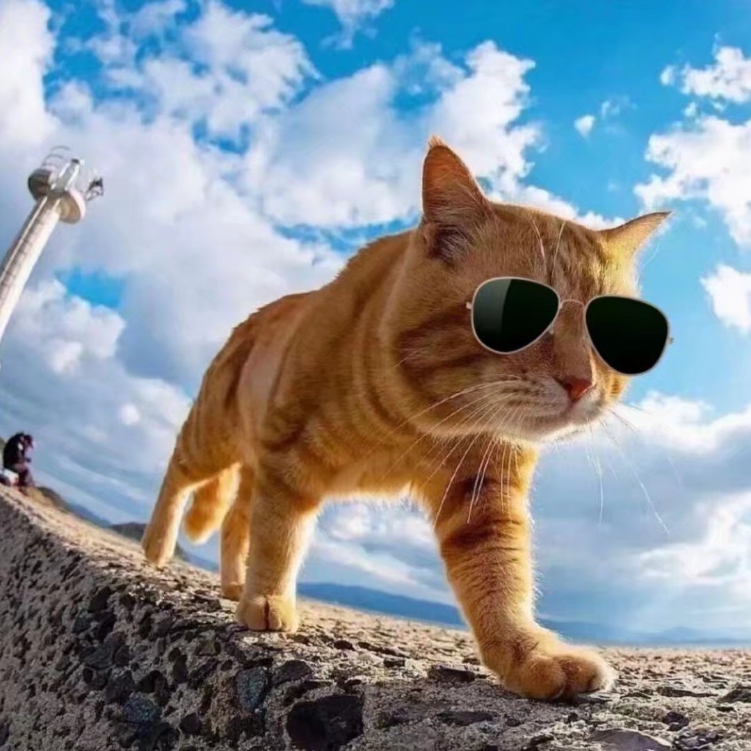 老板再来一杯冰可乐