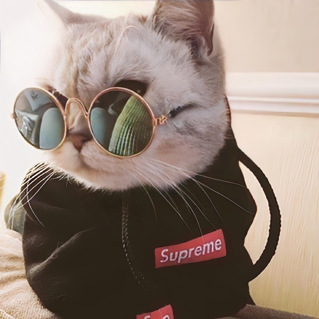 可我不是张万森