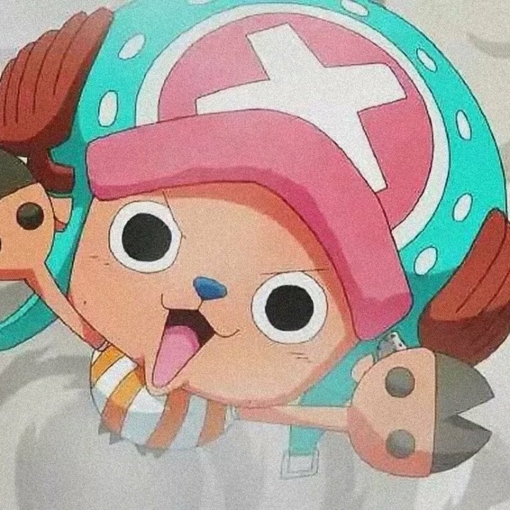 爱吃鲈鱼的朱古力