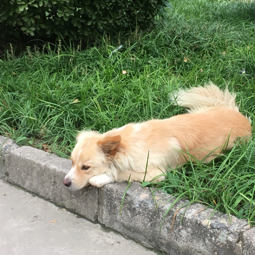 做大做强再创辉煌