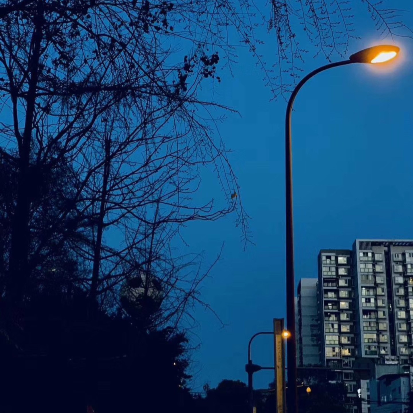 纵火青年董二千