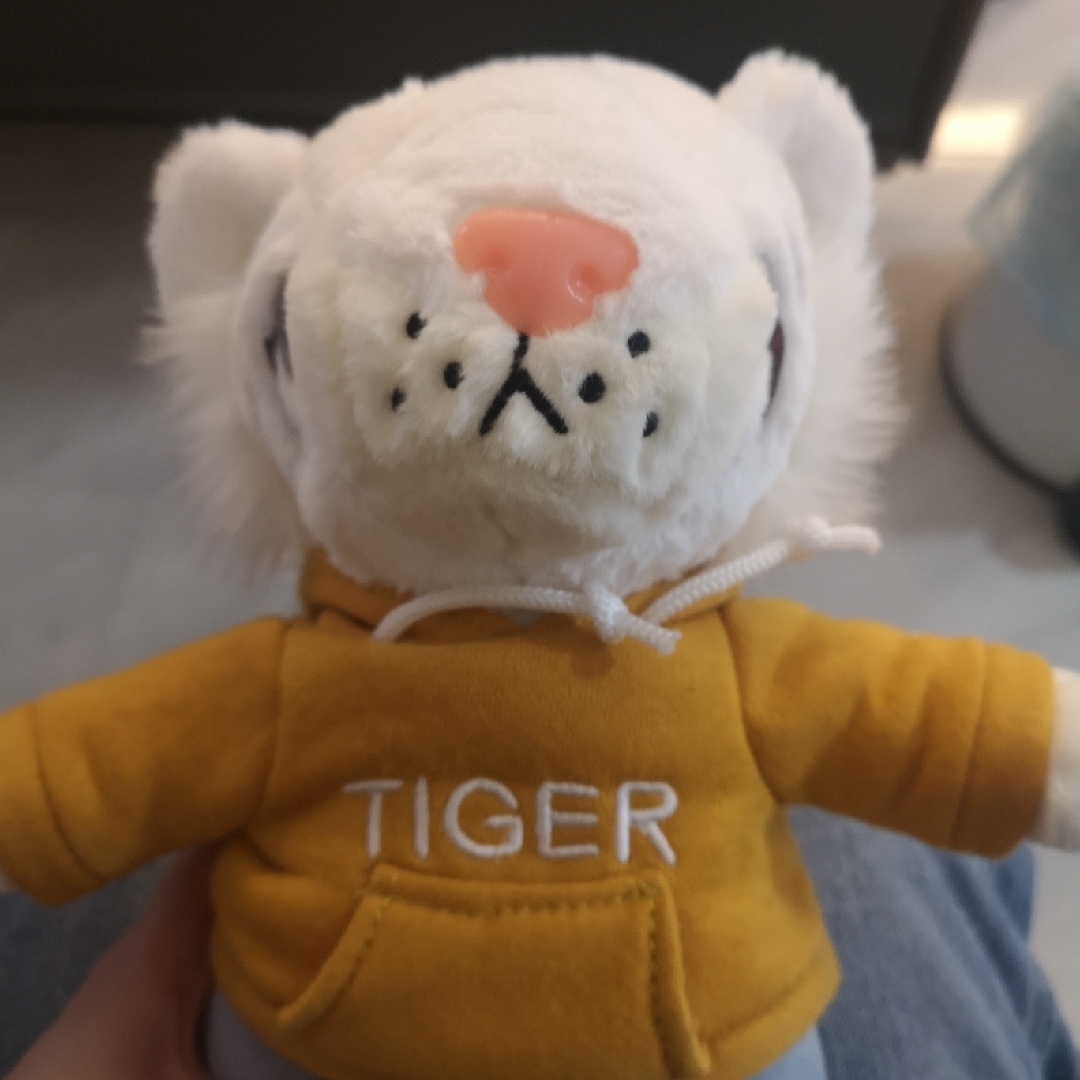 今天也请随便记住我