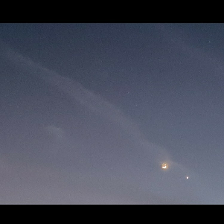 悄悄地不要说话