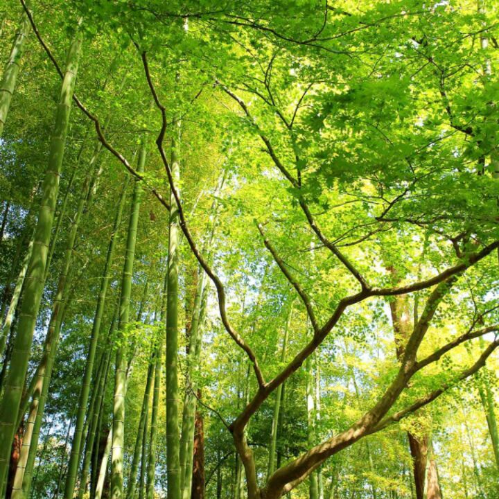 还记得我吗V(^_^)V