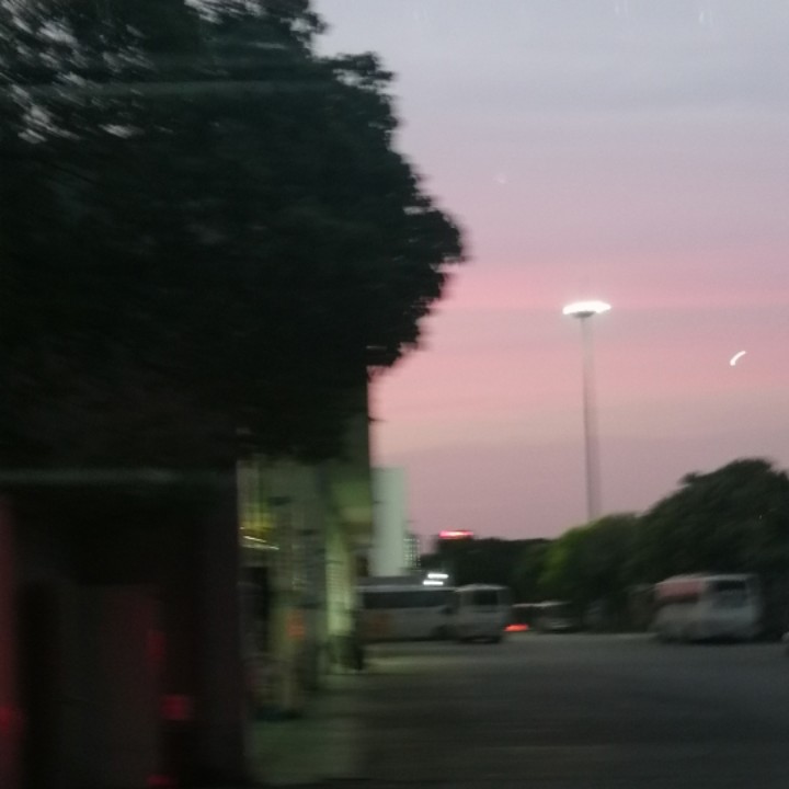 不吃肉肉长不高