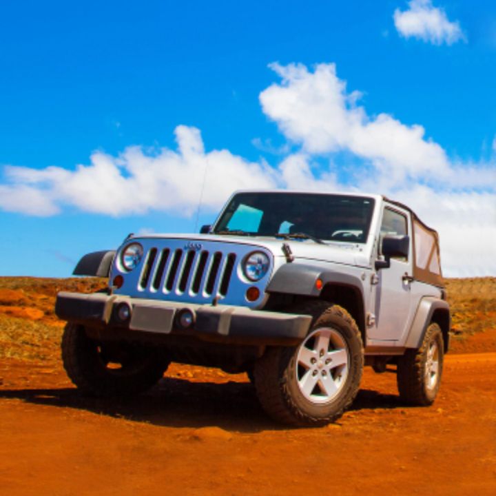 布鲁克夏天米饭