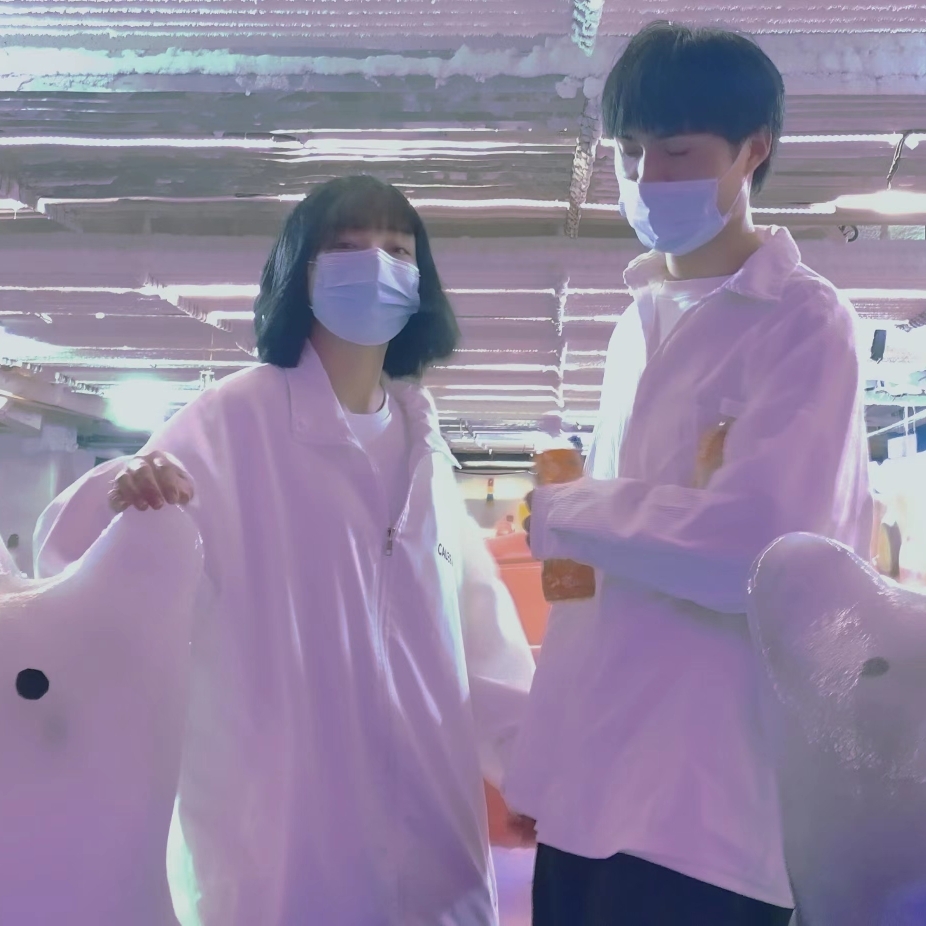 赵英俊的小包裹