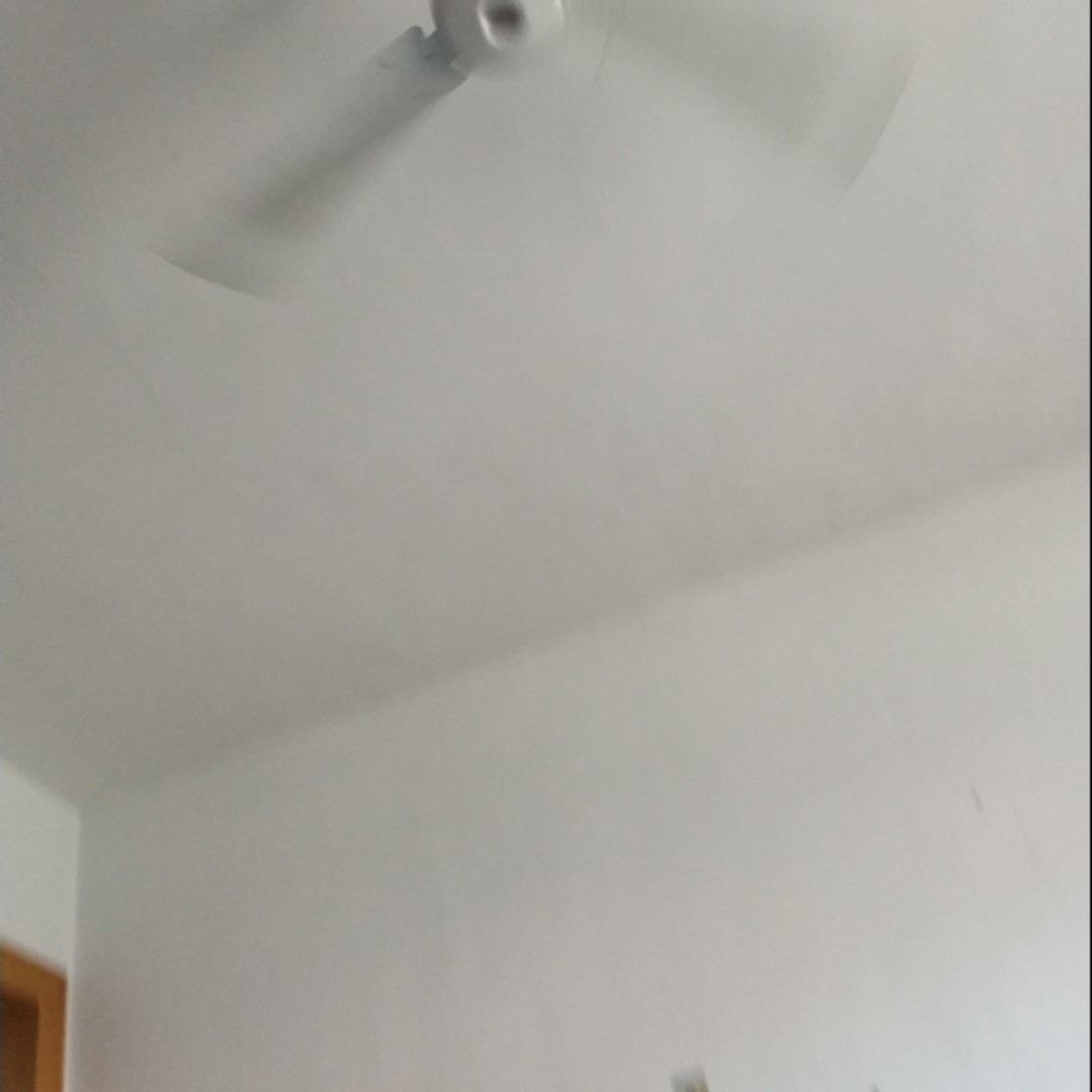 血红的黄花烟草