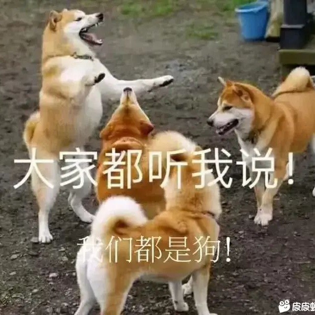温柔只能给他吗