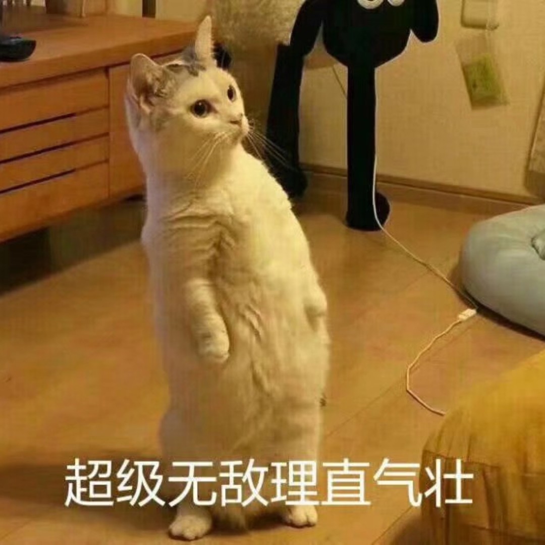 日思夜想的快递