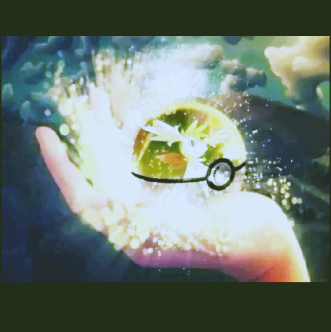 云开落日归沧海