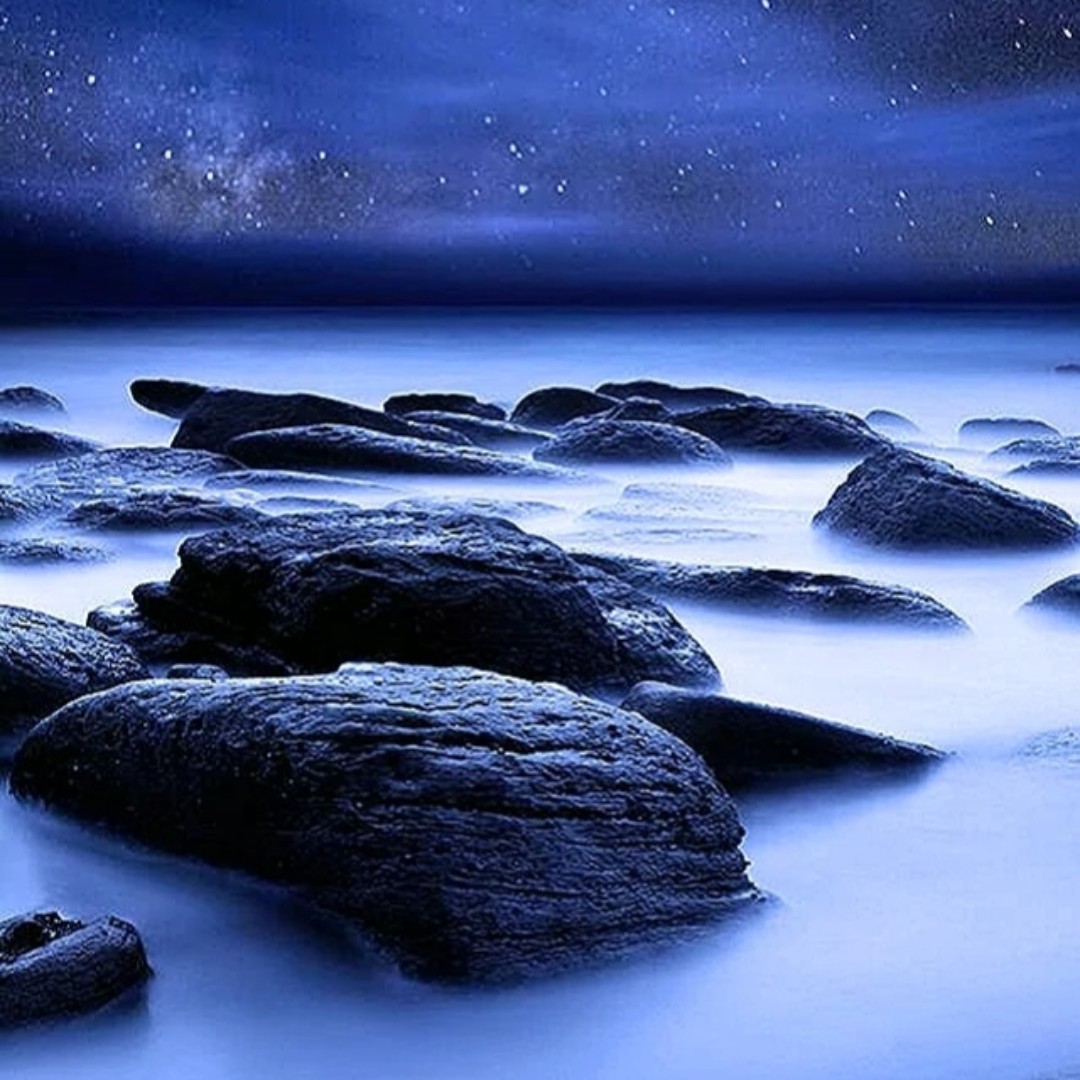 购物狂之光光一族