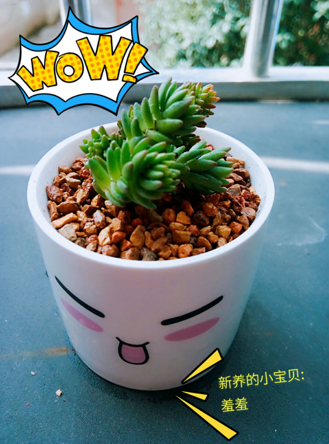 抠脚小公举1111111