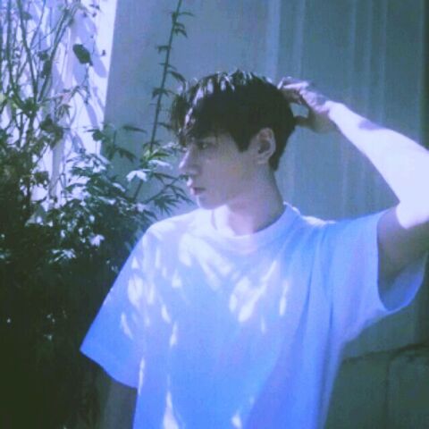 你把不到的爸爸