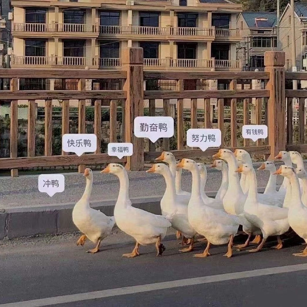 爱吃七喜排骨的火星