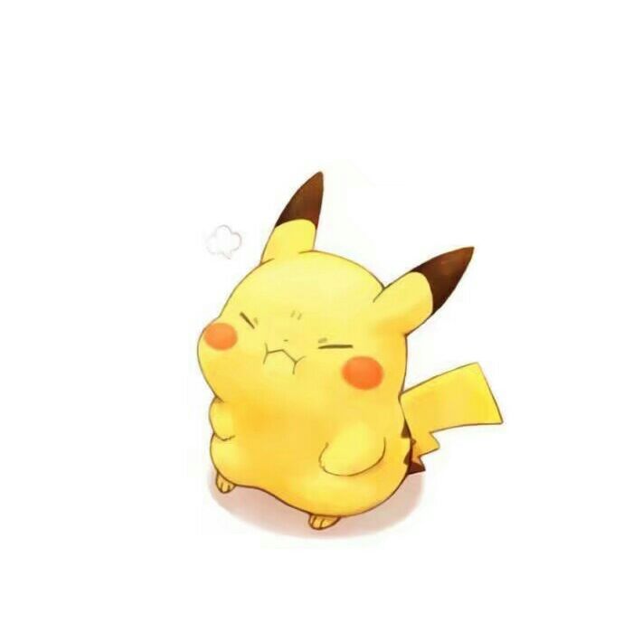 慕尼黑暖暖的白术