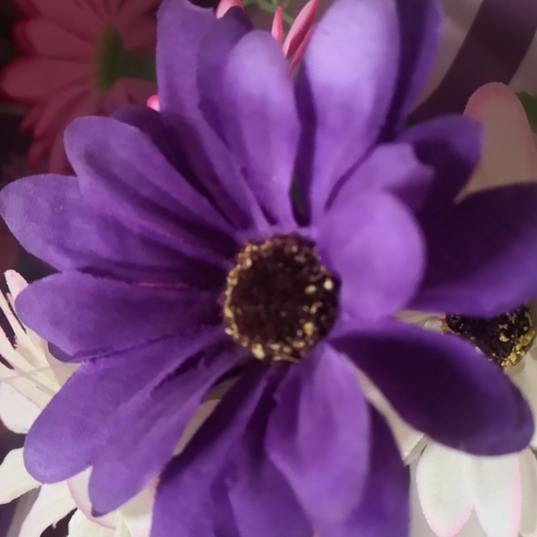 青黄的丹椒肖颖