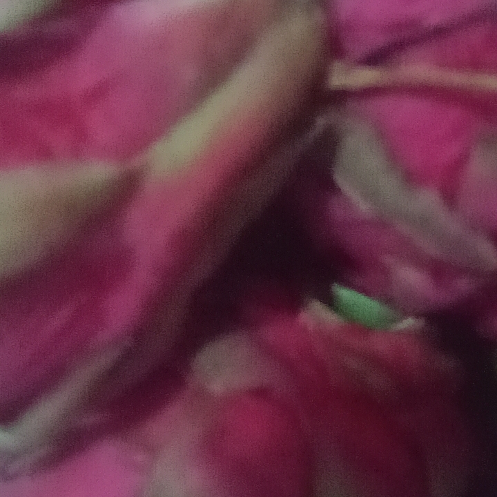 东晋缓慢的话梅