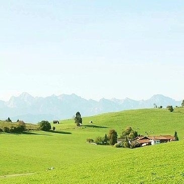 多吃甜品会开心